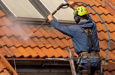 Démoussage et hydrofuge de toiture à Luchat